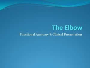 The Elbow Functional Anatomy Clinical Presentation Elbow Anatomy