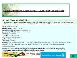 Pinus Gymnosperm naaktzadige Levenscyclus en anatomie Virtual Classroom