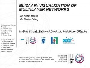 BLIZAAR VISUALIZATION OF MULTILAYER NETWORKS Dr Fintan Mc