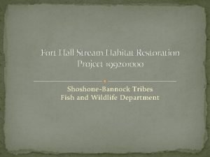 Fort Hall Stream Habitat Restoration Project 199201000 ShoshoneBannock