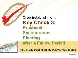 Crop Establishment Key Check 3 Practiced Synchronous Planting