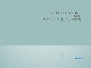 CELL SIGNALING AND MOTILITY BIOL 3373 Lecture 9