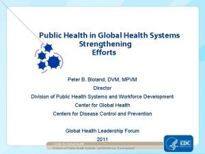 Public Health in Global Health Systems Strengthening Efforts