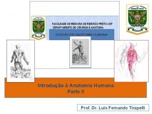 Introduo Anatomia Humana Parte II Prof Dr Lus