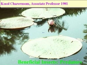 Kosol Charernsom Associate Professor 1981 Beneficial Insects Predators