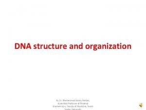 DNA structure and organization By Dr Mohammed Hosny