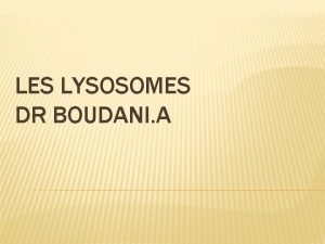 LES LYSOSOMES DR BOUDANI A Les lysosomes sont