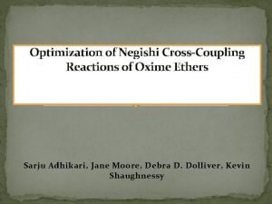 Optimization of Negishi CrossCoupling Reactions of Oxime Ethers