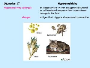 Objective 17 Hypersensitivity allergy allergen an inappropriate or