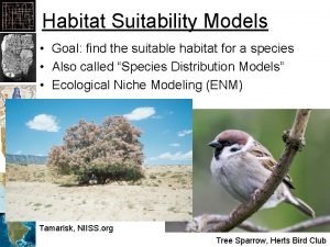 Habitat Suitability Models Goal find the suitable habitat