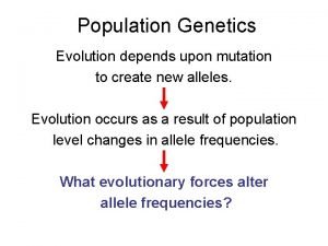 Population Genetics Evolution depends upon mutation to create