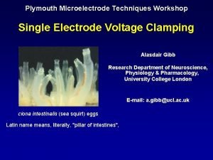 Microelectrode techniques