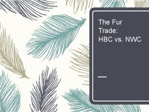 The Fur Trade HBC vs NWC The Fur