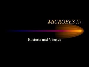 MICROBES Bacteria and Viruses Bacteria Classification and Structure