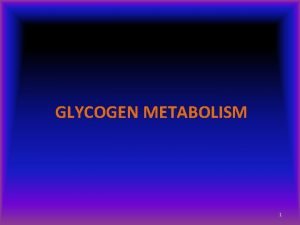 GLYCOGEN METABOLISM 1 Glycogen Structure Most of the