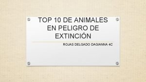 TOP 10 DE ANIMALES EN PELIGRO DE EXTINCIN