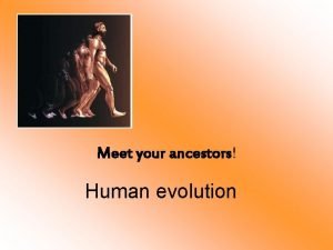 Dryopithecus human evolution