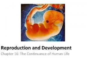 Reproduction and Development Chapter 16 The Continuance of