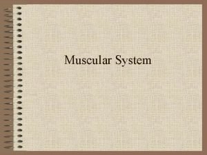 Muscular System Agriculture Food and Natural Resource Standards