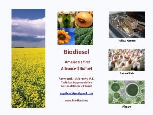 Yellow grease biodiesel