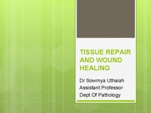 TISSUE REPAIR AND WOUND HEALING Dr Sowmya Uthaiah