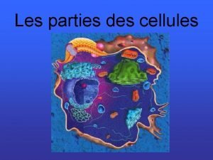 Les parties des cellules Le corps humain compte