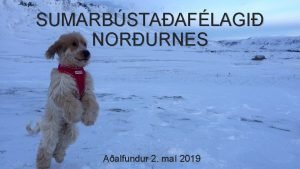 SUMARBSTAAFLAGI NORURNES Aalfundur 2 ma 2019 DAGSKR 1