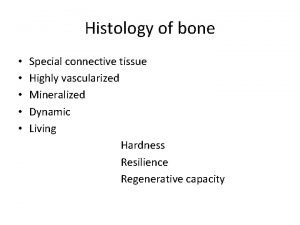 Histology of bone Special connective tissue Highly vascularized