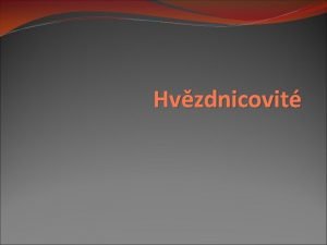 Hvzdnicovit Hvzdnicovit byliny kvtenstv bor zkrov soubor listen