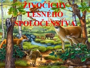 IVOCHY LESNHO SPOLOENSTVA 20 2 2021 11 30