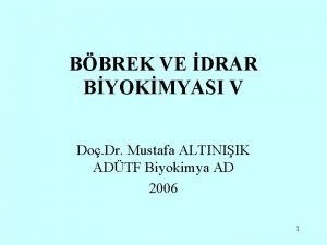 BBREK VE DRAR BYOKMYASI V Do Dr Mustafa