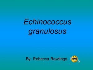 Echinococcus granulosus common name