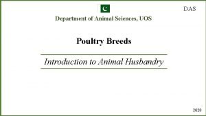 DAS Department of Animal Sciences UOS Poultry Breeds
