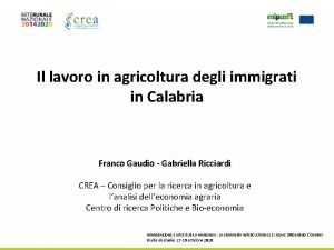 Il lavoro in agricoltura degli immigrati in Calabria