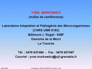 YVES MARKOWICZ matre de confrences Laboratoire Adaptation et