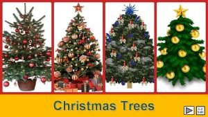 Christmas Trees L2 S01 Learning Intentions The children