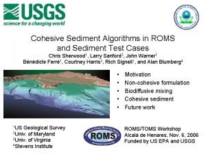 Cohesive Sediment Algorithms in ROMS and Sediment Test