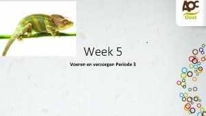 Oefentoets anatomie