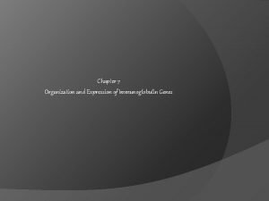 Chapter 7 Organization and Expression of Immunoglobulin Genes