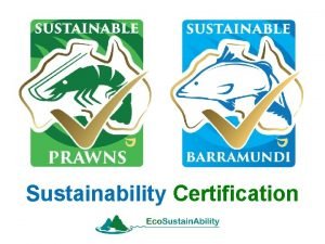 Sustainability Certification Overview Barramundi Qld Govt seed funding