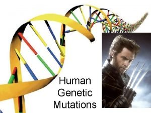 Human Genetic Mutations What is a mutation Mutations