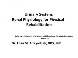 Renal corpuscle