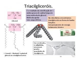 Molecula triacilglicerol