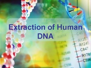 Extraction of Human DNA Experiment Goals Isolation of