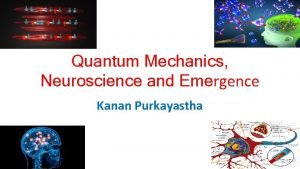 Quantum Mechanics Neuroscience and Emergence Kanan Purkayastha Delimitation