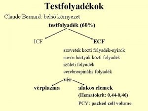 Testfolyadkok Claude Bernard bels krnyezet testfolyadk 60 ICF