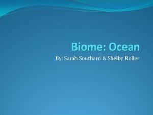 Biome Ocean By Sarah Southard Shelby Roller Biome