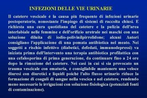 INFEZIONI DELLE VIE URINARIE Il catetere vescicale la