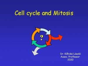 Cell cycle and Mitosis Dr Khidai Lszl Assoc