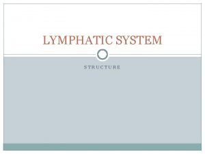 Which lymphatic structures closely parallel veins